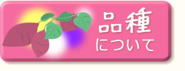 さつまいもの品種について