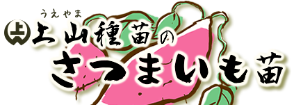鹿児島県産サツマイモ切苗通販サイトTHEさつまいも